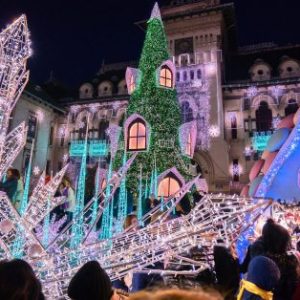 segarcea crown domains winery and craiova christmas fair