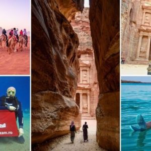 segarcea crown domains winery and craiova christmas fair