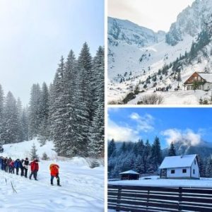 1 zi la cabana malaiesti